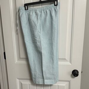 Nwots Eskandar Light Blue Wide Leg Cropped Pants size 1